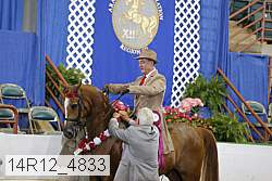 14r12_4833 proof