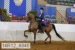 14r12_4846 proof