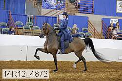 14r12_4872 proof