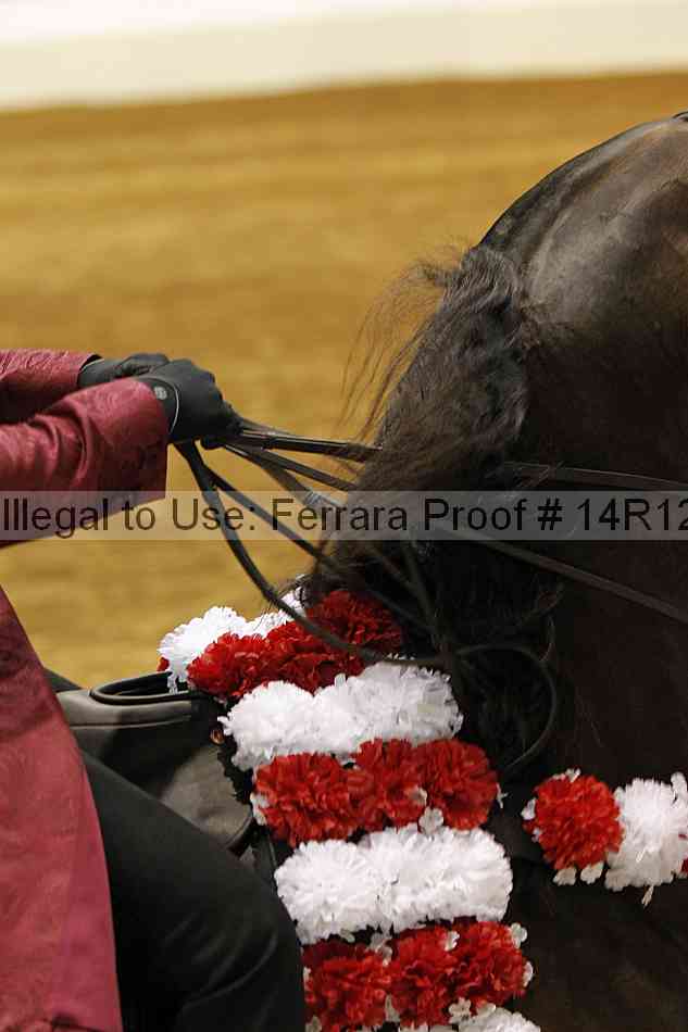 Proof 14r12_4909