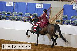 14r12_4929 proof