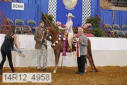 14r12_4958 proof
