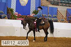14r12_4980 proof