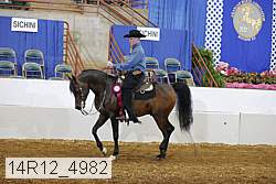 14r12_4982 proof