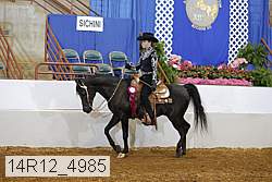14r12_4985 proof