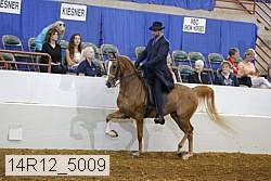 14r12_5009 proof