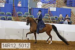 14r12_5012 proof