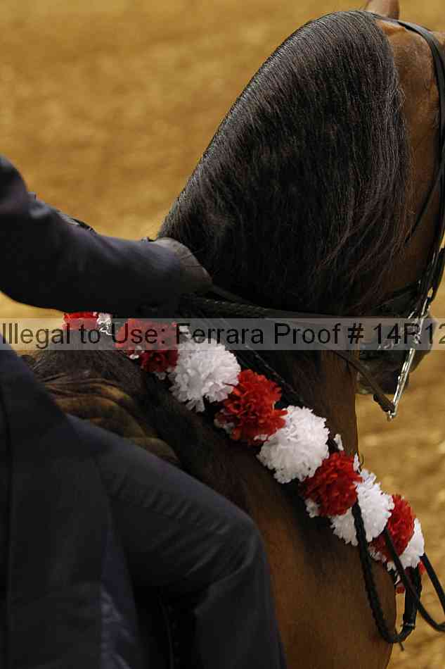 Proof 14r12_5035
