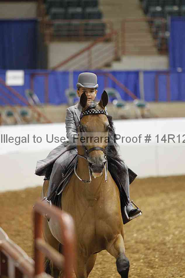 Proof 14r12_5091