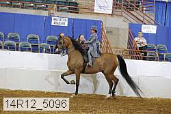 14r12_5096 proof