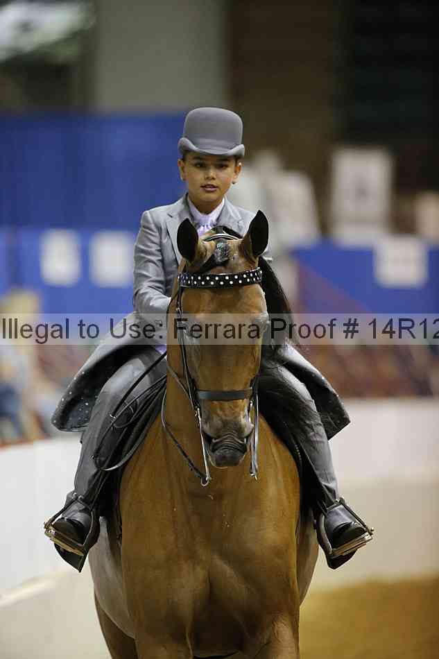 Proof 14r12_5099