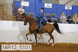 14r12_5101 proof