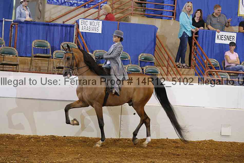 Proof 14r12_5102