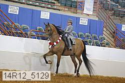 14r12_5129 proof