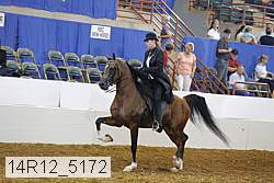 14r12_5172 proof