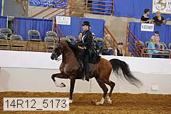 14r12_5173 proof