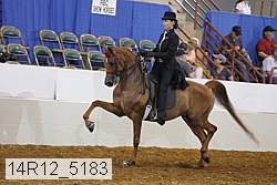 14r12_5183 proof