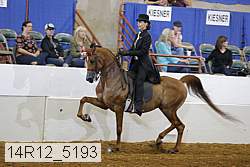 14r12_5193 proof