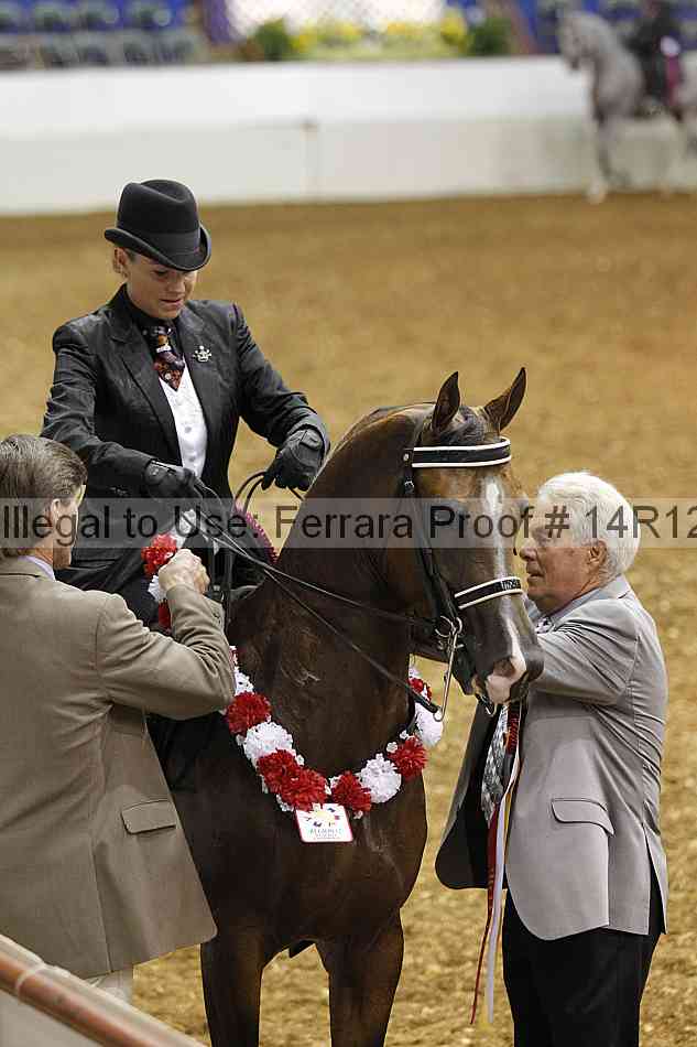 Proof 14r12_5196