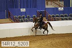 14r12_5203 proof