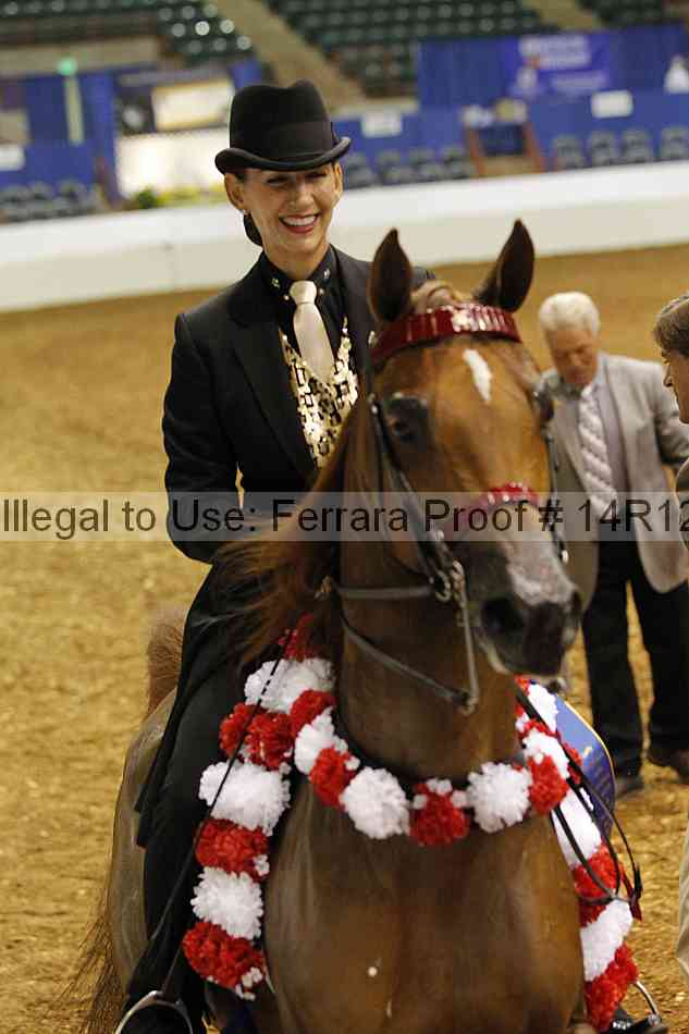 Proof 14r12_5207