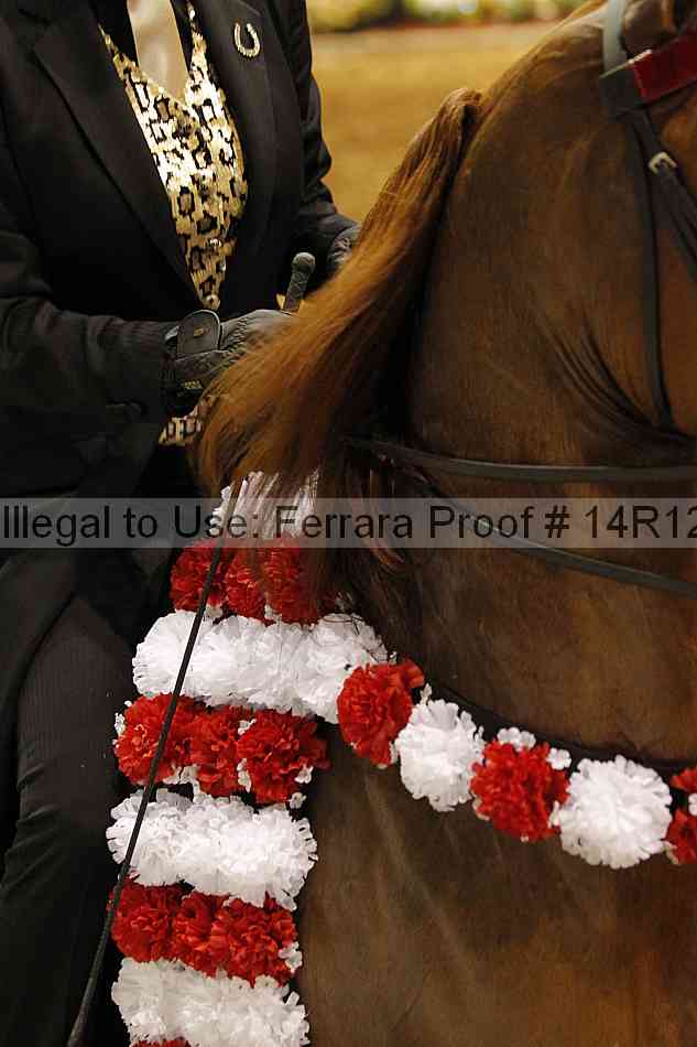 Proof 14r12_5209