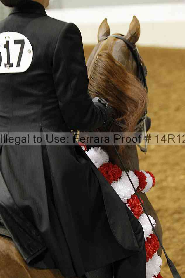 Proof 14r12_5210