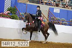 14r12_5222 proof