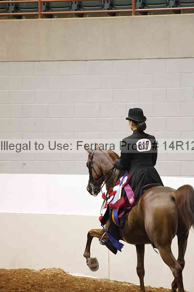 Proof 14r12_5231