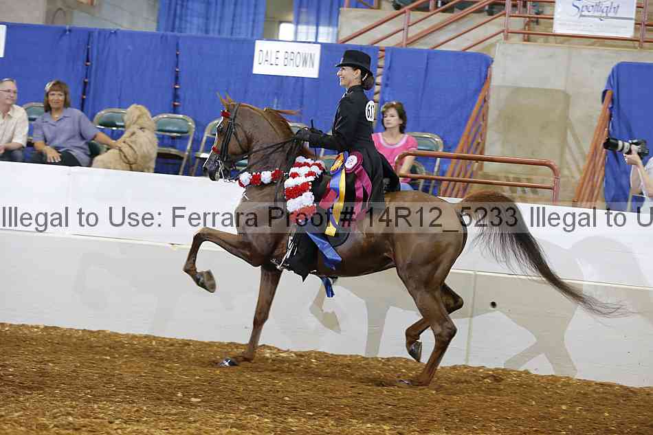 Proof 14r12_5233