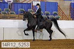 14r12_5253 proof