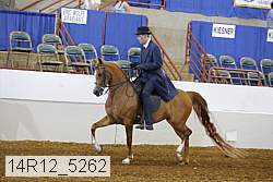 14r12_5262 proof