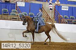 14r12_5320 proof
