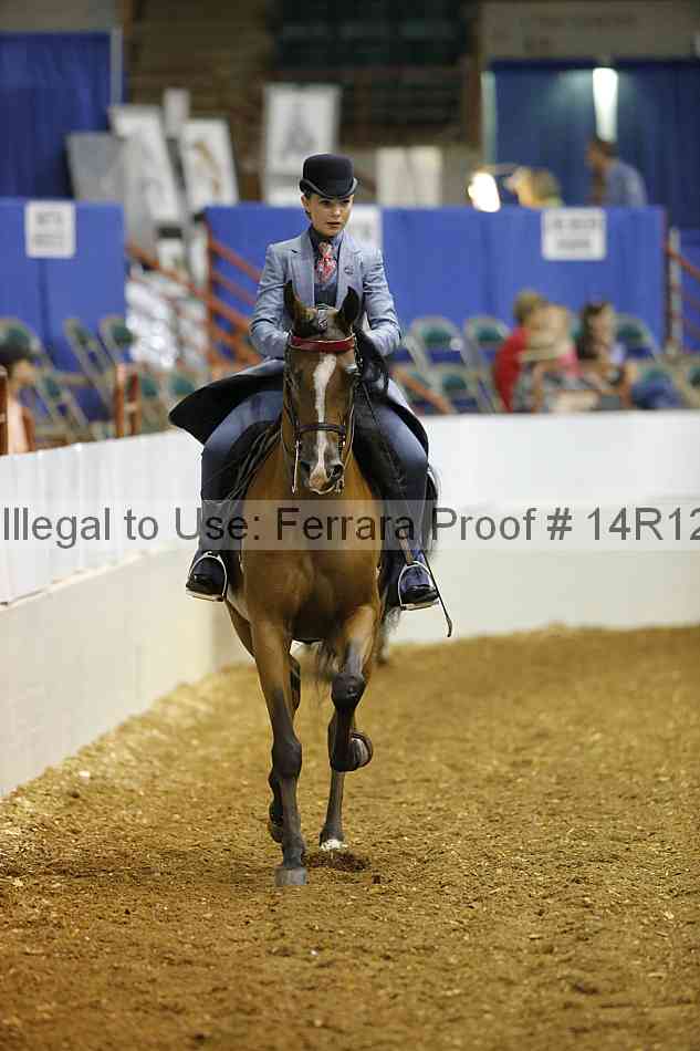 Proof 14r12_5331