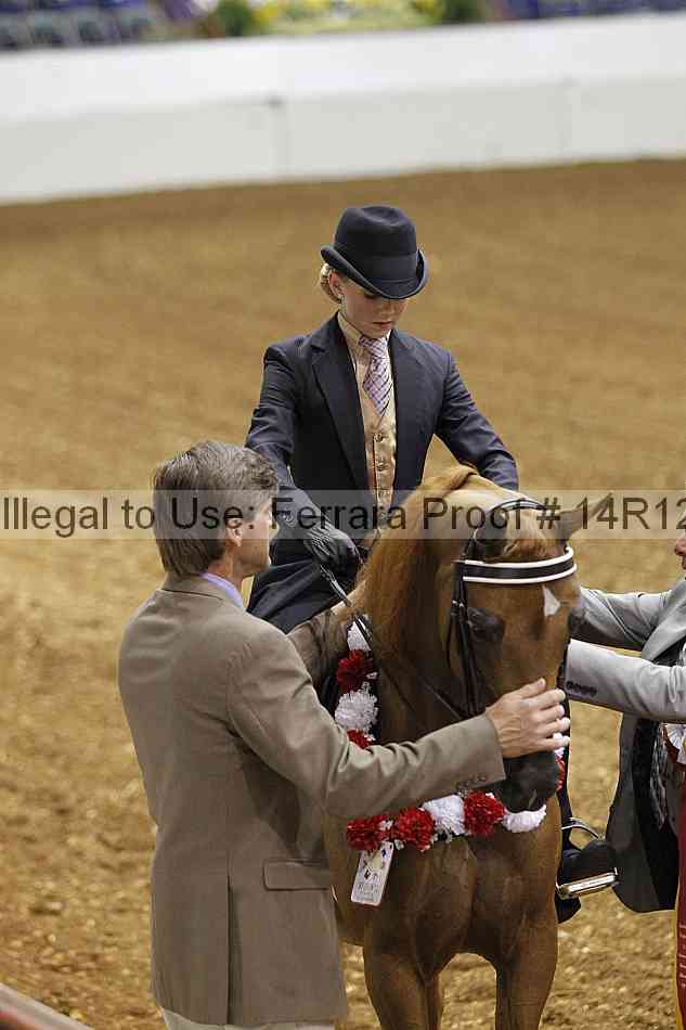 Proof 14r12_5341