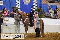 14r12_5344 proof