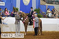 14r12_5345 proof
