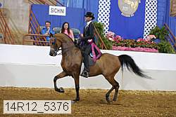 14r12_5376 proof