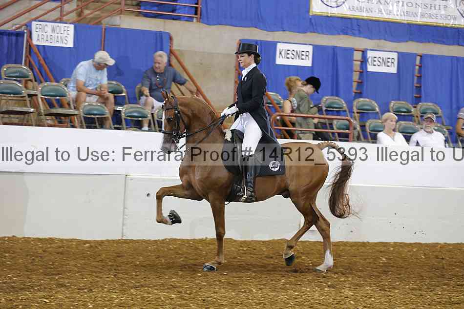 Proof 14r12_5393