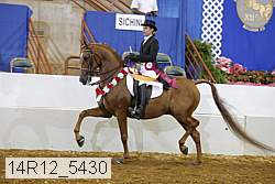 14r12_5430 proof