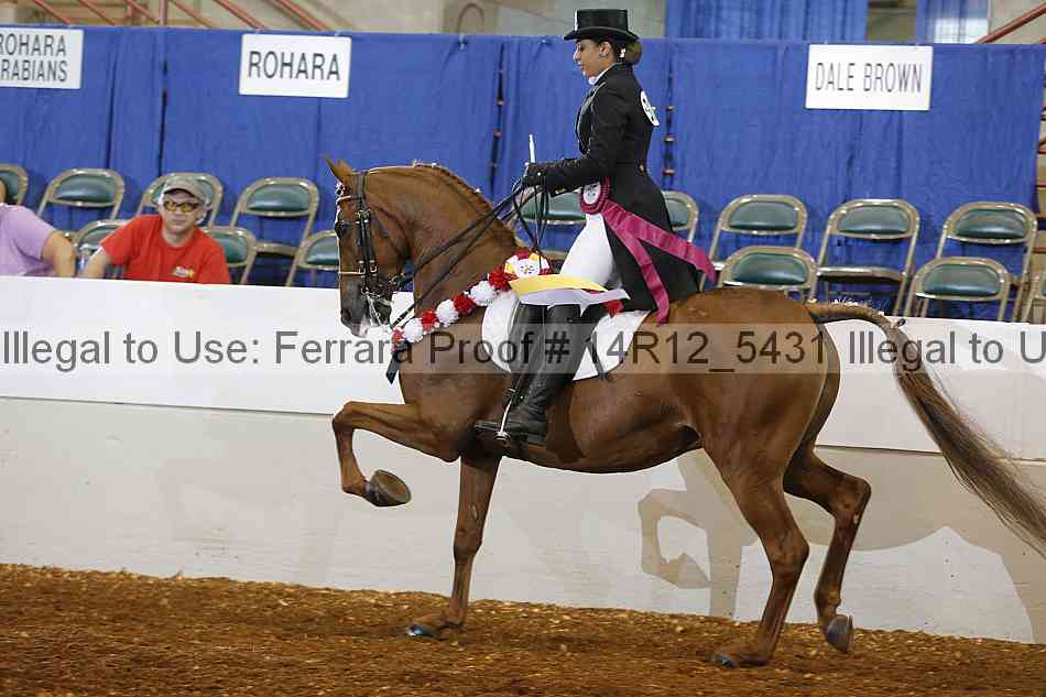 Proof 14r12_5431