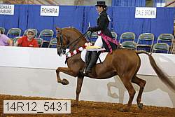 14r12_5431 proof