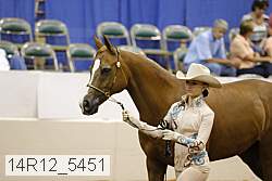 14r12_5451 proof