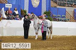 14r12_5591 proof