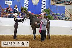 14r12_5607 proof