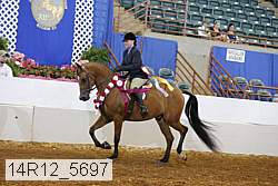 14r12_5697 proof
