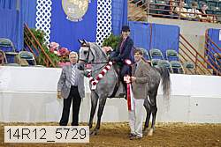 14r12_5729 proof