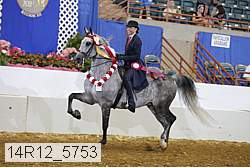 14r12_5753 proof