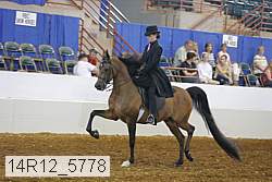 14r12_5778 proof