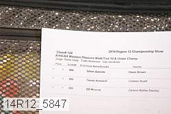14r12_5847 proof